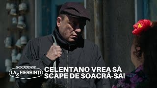 Celentano vrea să scape de soacrăsa Robi îi strică planul  Las Fierbinți  Sezonul 24 [upl. by Aneet]