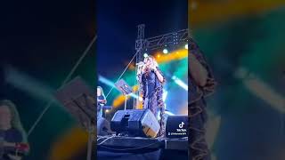 Sylvia Pantoja Vive la vida en concierto Feria de Andújar 2022 [upl. by Aicenet]