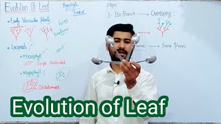 917 Evolution of leaf  Kingdom plantae Fsc Biology class 11 [upl. by Adkins]