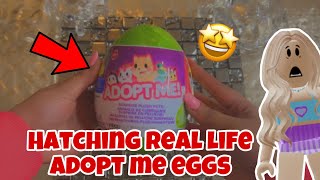 HATCHING ADOPT ME EGGS IN REAL LIFE [upl. by Dammahom]