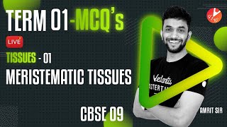 Term 1 MCQs  Tissues Meristematic Tissues L1  CBSE 9 Science Chap 6  1st Term Exam  Vedantu [upl. by Clarabelle]