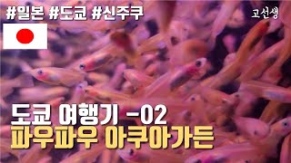 무수히 많은 메다카  수족관 여행기 18 Japanese Aquarium 일본수족관 신주쿠 熱帯魚館パウパウアクアガーデン新宿店 pau pau aqau garden [upl. by Egoreg]