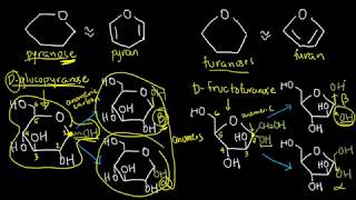 BIOCHEM 5  Cyclization of Monosaccharides [upl. by Cousin507]