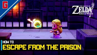 How to Escape from the Prison  Zelda Echoes of Wisdom [upl. by Nylrad]