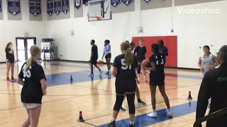 Jahnae Nickerson Co 2026 Training At CyFair Premier HS Girls Basketball Showcase On 10524 [upl. by Kannav]