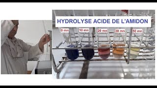 Hydrolyse acide et à chaud de lamidon TP [upl. by Sibyl]