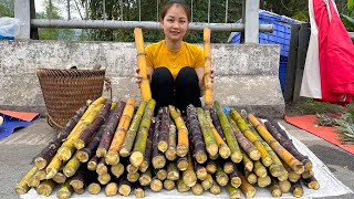 Harvest sugarcane go to market to sell daily life [upl. by Meares]