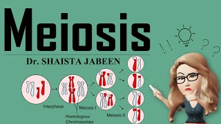 Meiosis I Complete Detailed Video on Meiosis 1 amp Meiosis 2 of Cell Division I Easy Learning [upl. by Nosreg]