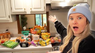 FALL SNACKS 🍂  HALLOWEEN DOLLAR TREE HAUL 🎃 [upl. by Anivahs]