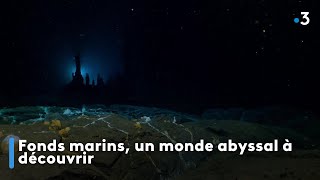 Fonds marins un monde abyssal à découvrir [upl. by Ester743]