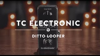 TC Electronic Ditto Looper  Reverb Demo Video [upl. by Haeckel]