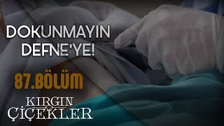 Kızlar mafyanın elinden kurtulabilecek mi  Kırgın Çiçekler 87Bölüm [upl. by Dulcle]