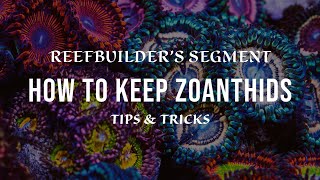 Zoanthids  How to Keep and Growing using Tips and Tricks Reefbuilders Video Segment [upl. by Goulden]