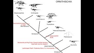 Ornithischia [upl. by Llemrej]