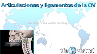 Articulaciones y ligamentos de la columna vertebral  Columna vertebral [upl. by Justin]