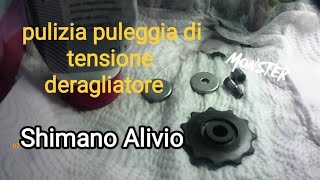 pulizia PULEGGIA di tensione cambio SHIMANO ALIVIO senza togliere CATENA mtb 🚴🇮🇹 [upl. by Bogusz]