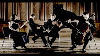 Brahms  piano quartet no 1 gminor op 25  Fauré Quartett [upl. by Clemence]