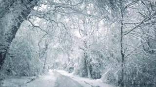 Blizzard Sounds for Sleep Relaxation amp Staying Cool  Snowstorm Sounds amp Howling Wind in the Forest [upl. by Reld]