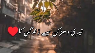 Teri Dharkan Se Zindagi Ka  Love Sad Shero Shayari Status 2024 [upl. by Bibbye400]