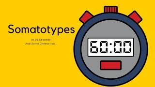 Somatotypes in 60 seconds [upl. by Ruenhs]