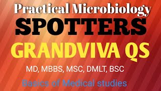 Microbiology Practical MbbsMicrobiology Spotters Mbbs1  Grand viva question 1cbme [upl. by Ezechiel325]