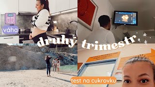 2 TRIMESTR  POHLAVÍ test na CUKROVKU strava a pohyb v TĚHOTENSTVÍ 🤰🏽🥬 [upl. by Lleinnad669]