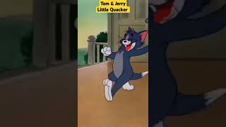 Tom amp Jerry  Best of Little Quacker  Classic Cartoon Compilation  WB Kids  CoComelonstudio [upl. by Weinert537]