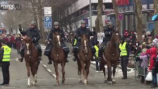 Leonberger Pferdemarkt 2013 [upl. by Ramos]