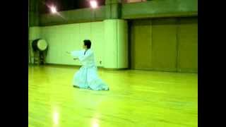 Shintaido Karate Tekki Shodan [upl. by Fem]