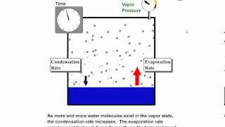 Vapor Pressure Equilibrium Vapor Pressure and Relative Humidity [upl. by Dorraj34]