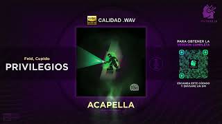 Feid Cupido  Privilegios 🎙️ ACAPELLA Filtrar IA [upl. by Aelegna751]