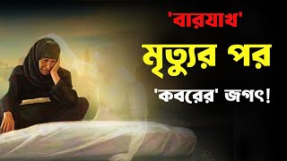 কেমন হবে কবরের জীবনযাপন  কবরের জীবন  পরকাল  life in barzakh  life in grave [upl. by Katharyn]