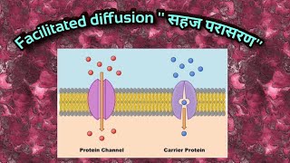 Facilitated diffusion quotसहज विसरणquot [upl. by Emelun]