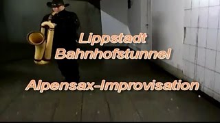 Alpensax Improvisation im HBF Ðietmar Schuetz AlphornAlpsax [upl. by Enahsed269]