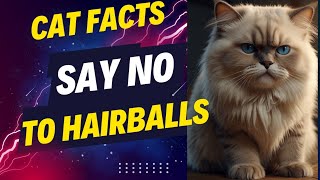 CAT FACTS 🐈 😻 Hairballs 😳 How to help your cat 🐱😽 [upl. by Ami398]