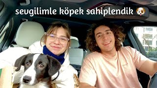 KÖPEK SAHİPLENDİK [upl. by Esenaj]