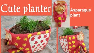 Cute planter and asparagus plant [upl. by Auberta545]