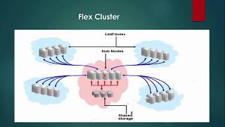 Flex Cluster In Oracle Clustware [upl. by Leinnad]