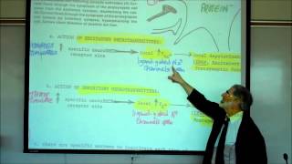 SYNAPTIC TRANSMISSION IN THE CNS PART 1 by Professor Fink [upl. by Tina843]