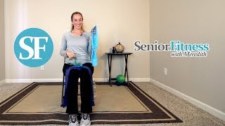 Senior Fitness  Looped Resistance Bands Workout [upl. by Berry]