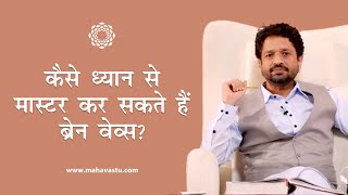 कैसें ध्यान से मास्टर कर सकते हैं ब्रेन वेव्स। Mastering Brain Wave through Meditation  MahaVastu [upl. by Alarice856]