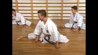 1st Kata  Taigyoku Shodan [upl. by Eislehc]