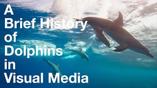 A Brief History of Dolphins in Visual Media 4500 BC  2024 AD [upl. by Nitsew49]