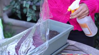 How to Start Tomato Seeds Indoors Using Starting Trays  Planting the Seed [upl. by Eyr]