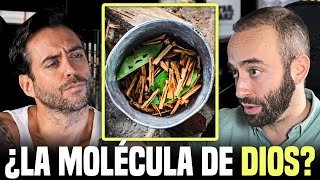 Científico experto en drogas explica la AYAHUASCA de forma realista y sin misticismo [upl. by Sirraj443]