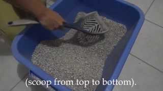 How to clean the litter box video [upl. by Karole]