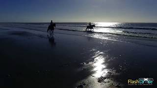 Chevaux et cavaliers sur la plage filmés par un drone [upl. by Garner]