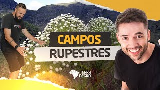 Campos Rupestres com professores de Geografia e Biologia [upl. by Barbra]