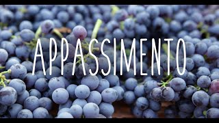 Appassimento for Amarone grapes [upl. by Krueger948]