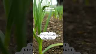 Onions and Strawberries Make Great Companion Plants  Gardening Tips [upl. by Odnumyar718]